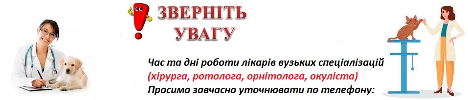 Баннер